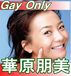 ڸ (Gay Only)