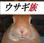 ������²