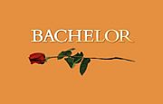 We Are Bachelor!!!