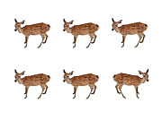 six deer -survival dAnce-