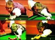 Stephen Hendry
