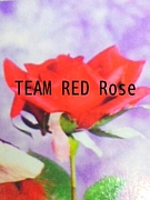 TEAM RED Rose