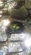 뤯餤ʤ鲶˸