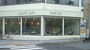 Lunch Cafe tree top