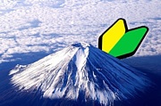 はじめての富士山