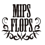 MIPS FLOPS