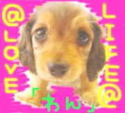 ��Love���Life��