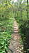 close to nature�������繥����