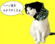 ɥ輼