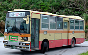 西表島交通株式会社の路線バス