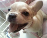 ���ե����֤��