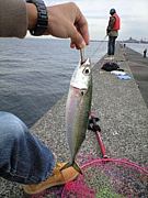 「川崎新堤」で釣りを楽しもう♪