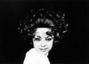 �鯤�����