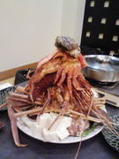 ����Ღã�β�