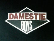 DAMESTIE BOYS