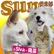 SUN&Siva+陽菜　倶楽部