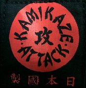 kamikaze attack