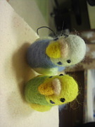 �����������󥳤Υ��ȥ�å�