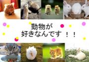 ưʪ�������ʤ�Ǥ���!!