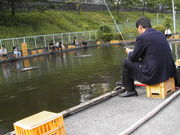 ���٥ޥ˥����ԥ�ë�������㲰