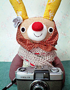 prickle��Robin�����