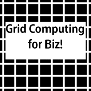 Grid Computing for Biz!