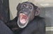 ���˥ޥ�ѡ�������