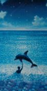 Ƥξ졡DOLPHIN THROUGH CAFE