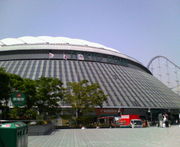 ���͹������ε�ͥե���