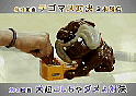驚くテゴマス