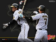 �����������������������