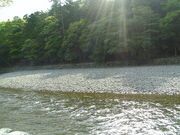 �������Τ�����