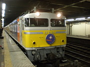 EF81[田]