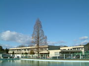 S47&48��-������-����-���&��