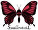 SwallowtaiL