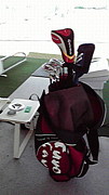ɲ�û�GOLF�������