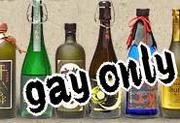 ���񹥤��Υ���(gay)��