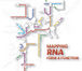 RNA for Life