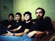 shins