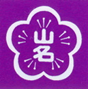 �ް桡��̾���ձ�