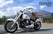Fatboy Ladies - Team Fatgirl -