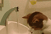 ����ˤ��