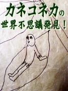 ���ͥ��ͥ��������Ի׵�ȯ����