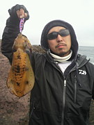 ｼｬｸﾘ屋本舗〜下田エギング〜