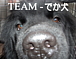 TEAM-でか犬(大型犬) in 北海道
