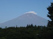 富士山国際エコキャンプ村