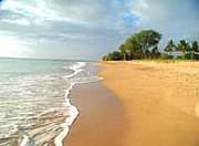 �ۥΥ��ޥ饽���ܻؤ��͡�ʡ��