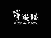 ͷǭsnow joying cats