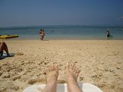 �翹Į�����꡼�λ�Ź