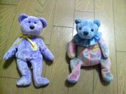 �����ɤ���Τ�������������